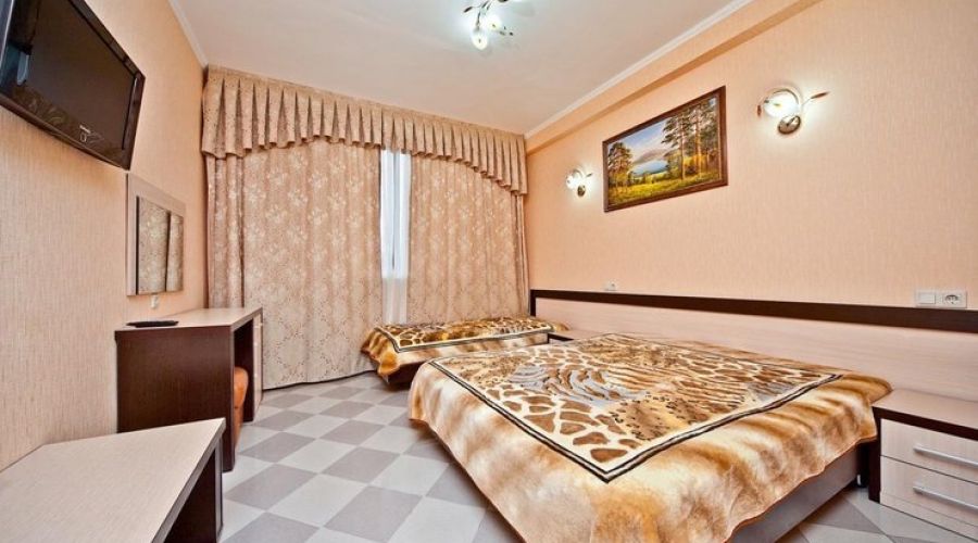 Люкс 3-местный 1-комнатный